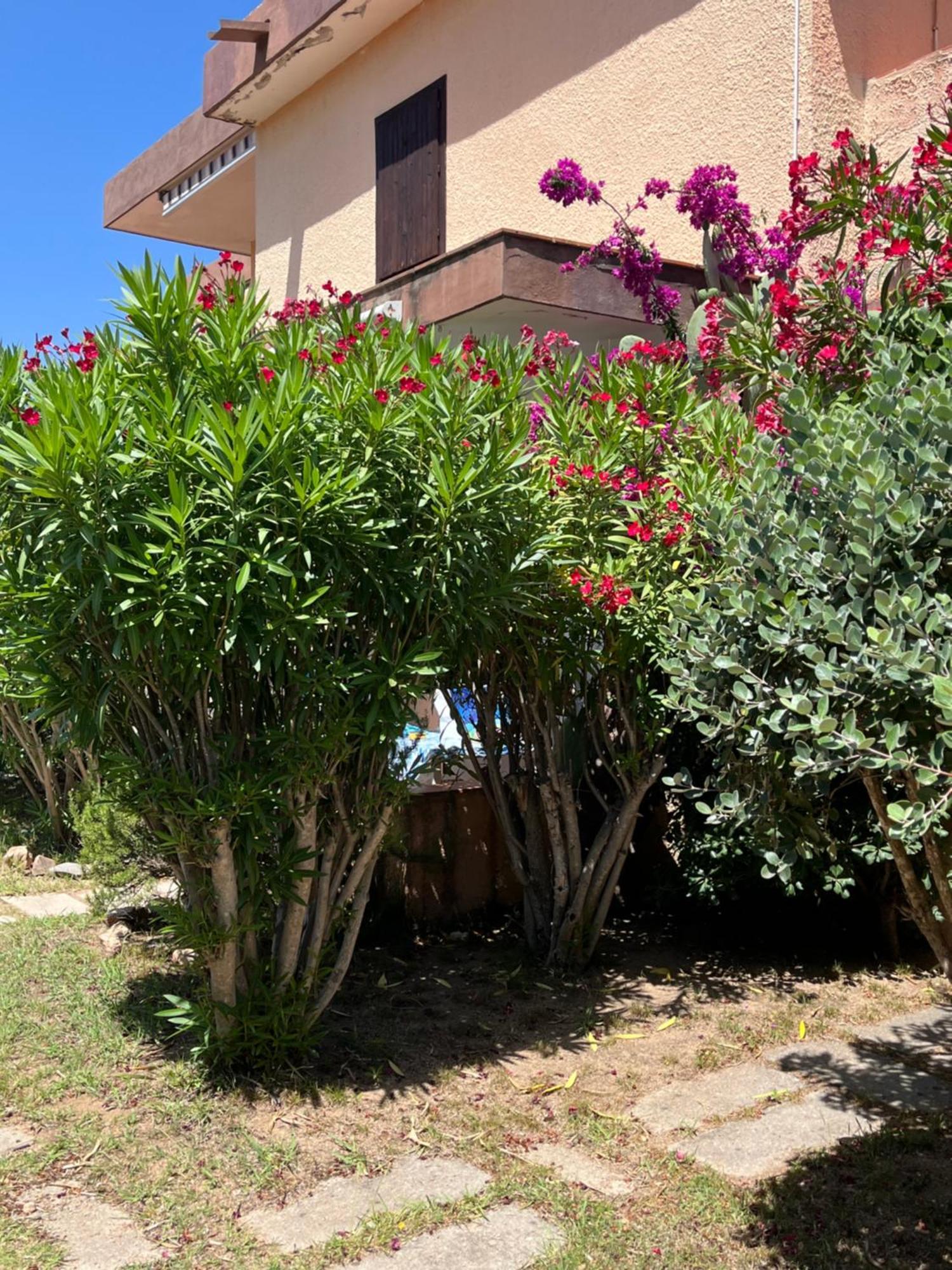Bilocali Residenza Mediterranea كانّيجوني المظهر الخارجي الصورة